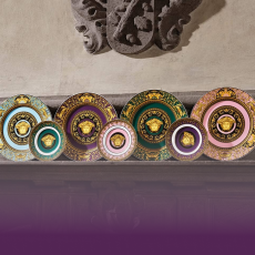 Medusa Colour