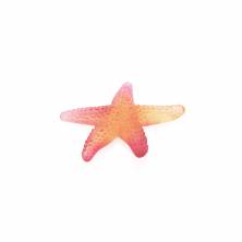 Статуэтка морская звезда Daum Mer De Corail 11 см цвет янтарный, красный