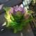 Ваза Daum Centre de Table Duo Jardin de Lotus, 39,5х34см (13727)