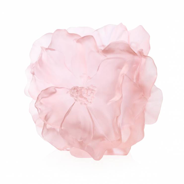 Ваза Daum Camelia Rose розовый 34см (7127)