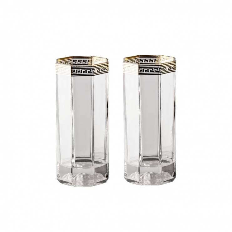 Набор из 2-х стаканов Longdrink Versace Medusa Lumiere Gold, 250мл (7643)
