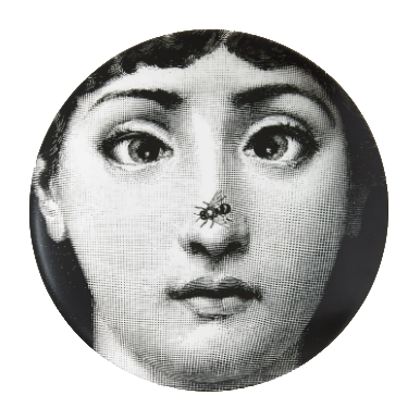 Декоративная тарелка Fornasetti Tema e Variazioni Animals 26см (13645)