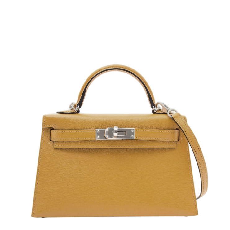 Сумка Hermes Kelly 20 Mini PHW (10762)
