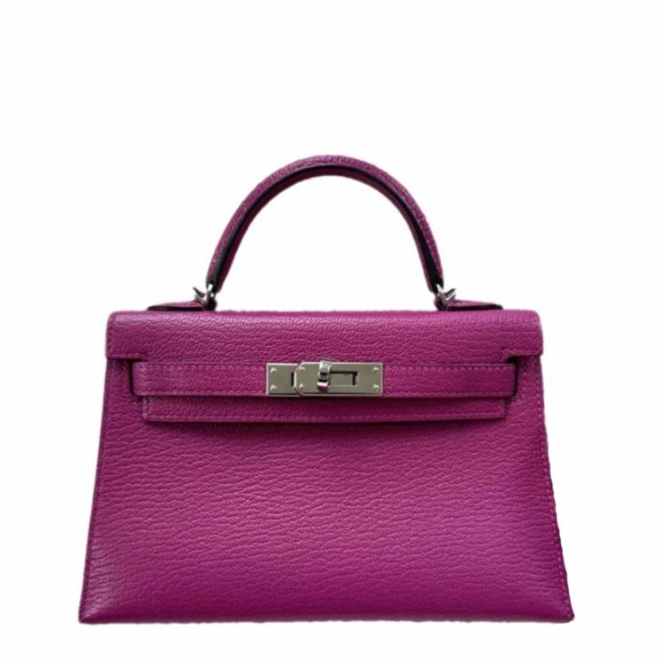 Сумка Hermes Kelly 20 Mini PHW (10763)