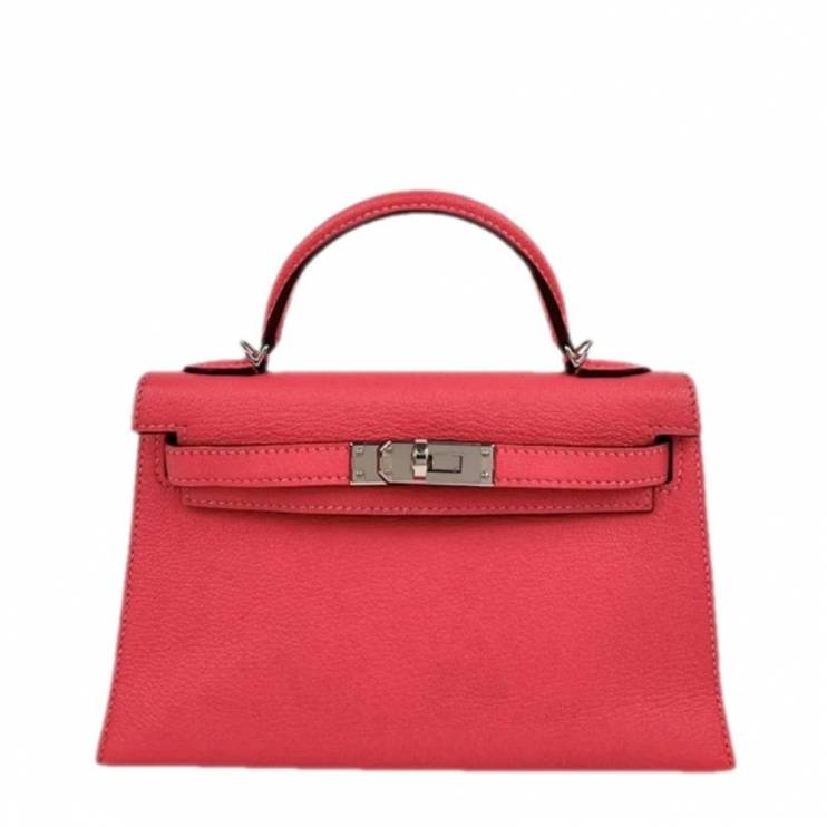 Сумка Hermes Kelly 20 Mini PHW (10765)
