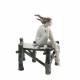 Скульптура Lladro «Закат на пирсе» 22см (8866)