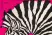 Шелковый платок Hermes Nano Zebra Pegasus, 45 (7967)