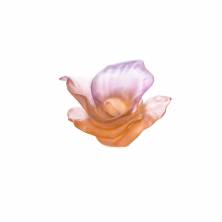 Статуэтка цветок Daum Arum Rose 9,8см цвет янтарный-розовый