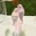 Скульптура Lalique Two Parakeets 18,7 см розовая (14891)