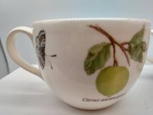 Чашка чайная Wedgwood Sarahs Garden 300мл (6692) зелёная